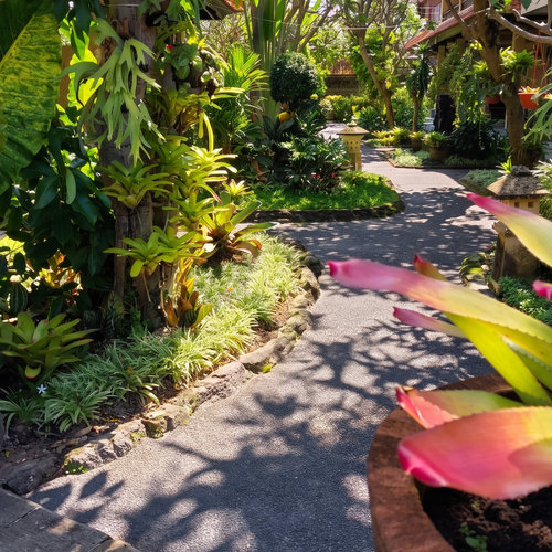 Hotel Flamboyan Garden